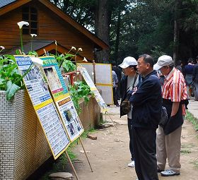 阿里山上，一群群大陆观光游客围看真相展板