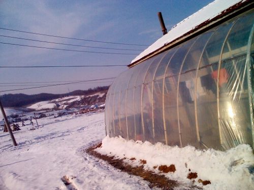 七十七岁老人居住的房屋