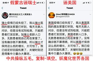 图6：海外自媒体上，集中搜索到大量雷同的谣言，被揭露为中共五毛的统一行动，祸乱各国（推特截图3）