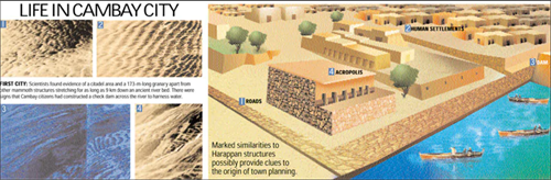 '图18：印度坎巴特湾文化遗迹'